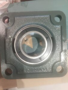 WhatsApp Image 2026-01-14 at 3.17.25 PM